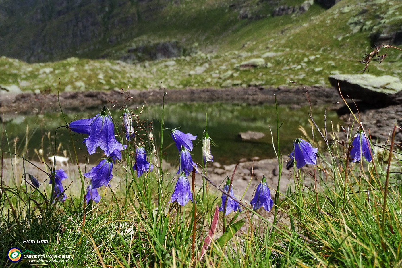 40 Al Laghetto di Pietra Quadra con poca acqua.JPG